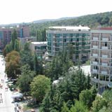 Отель Palm Beach